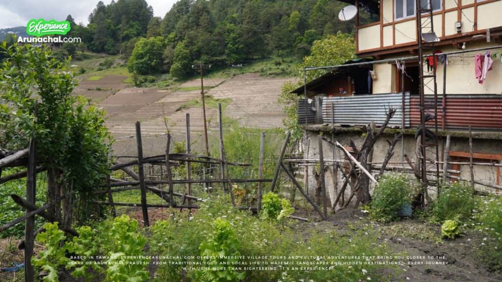 Village tour in Arunachal